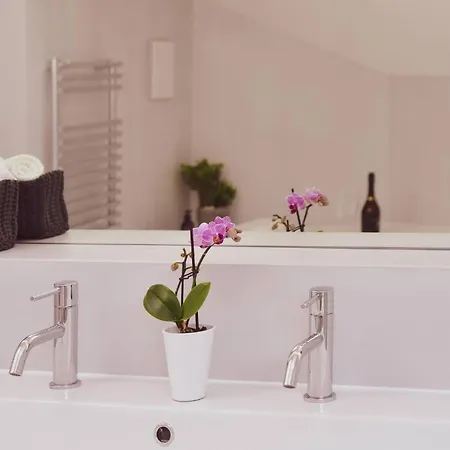 One Only Nassa Penthouse With Large Private Terrace * Лугано